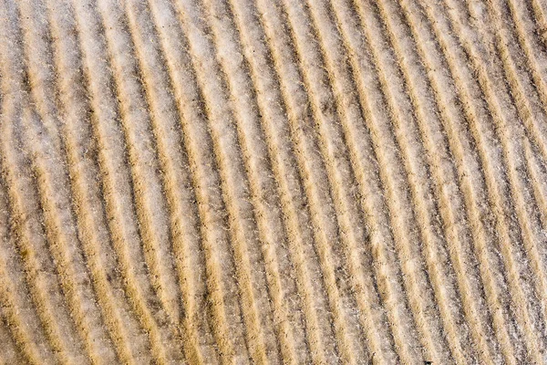 Gefrorener Sand mit Eisblöcken — Stockfoto