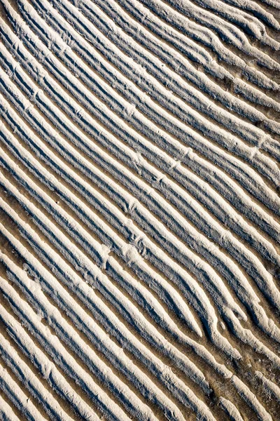 Areia congelada com blocos de gelo — Fotografia de Stock