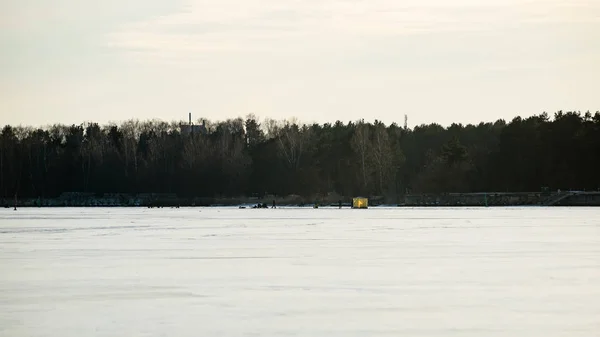 People enjoying frozen beach — Stock Photo, Image