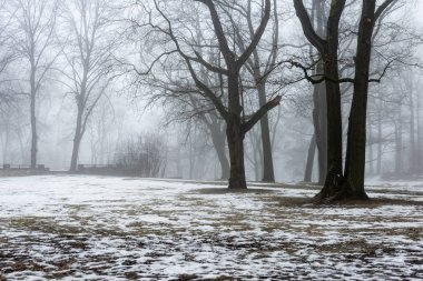 karlı kış park sis içinde