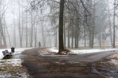 karlı kış park sis içinde
