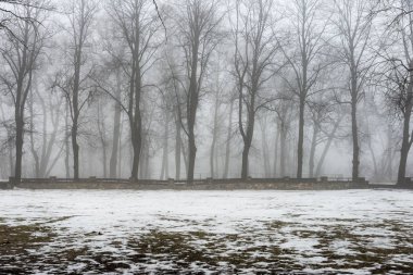 karlı kış park sis içinde