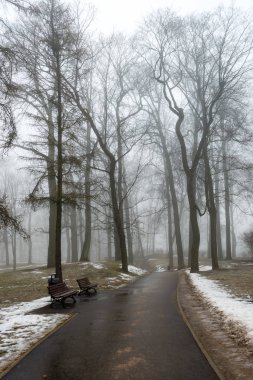 karlı kış park sis içinde