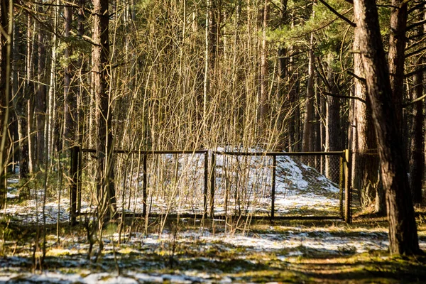 Snöig vinter park i soligt väder — Stockfoto