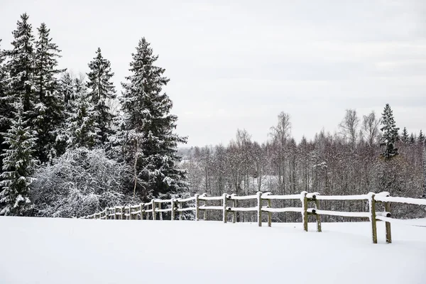 Снігове зимове поле в тумані — стокове фото