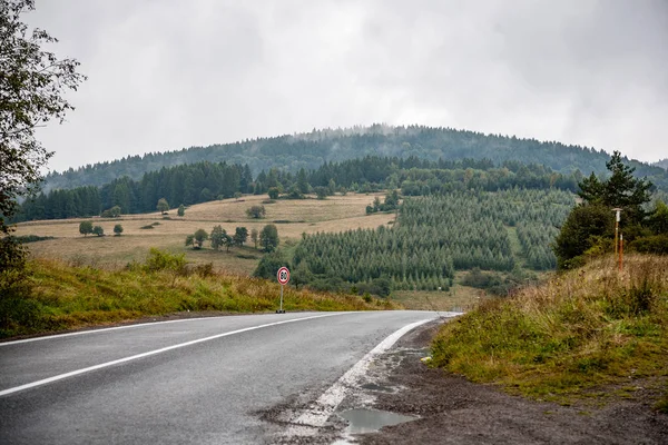 Country road with trees — Stock Photo, Image
