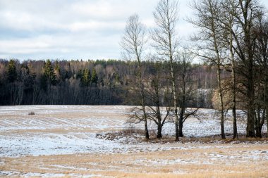 Kışın donmuş kırsal sahne