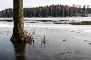 Kışın donmuş kırsal sahne