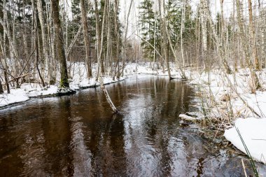 Kışın donmuş kırsal sahne