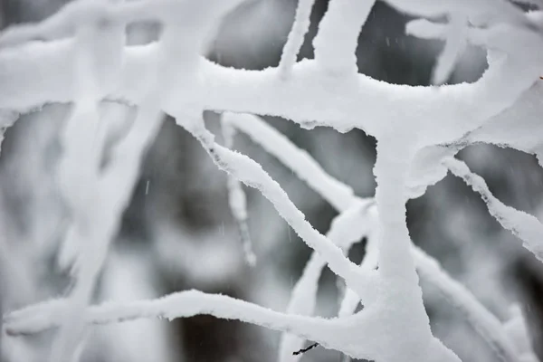 Frozen countryside scene in winter — Stock Photo, Image
