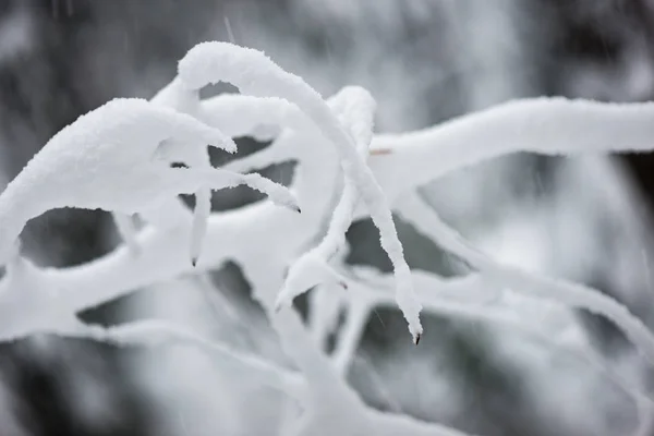 Bevroren landschap scène in de winter — Stockfoto