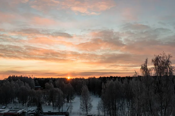 Fagyasztott vidéki táj télen — Stock Fotó