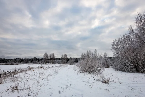 Scena di campagna congelata in inverno — Foto Stock