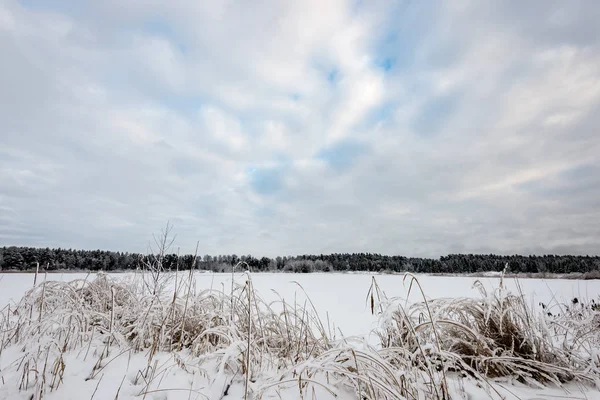 Kışın donmuş kırsal sahne