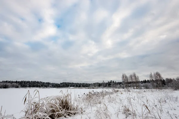 Scène de campagne gelée en hiver — Photo