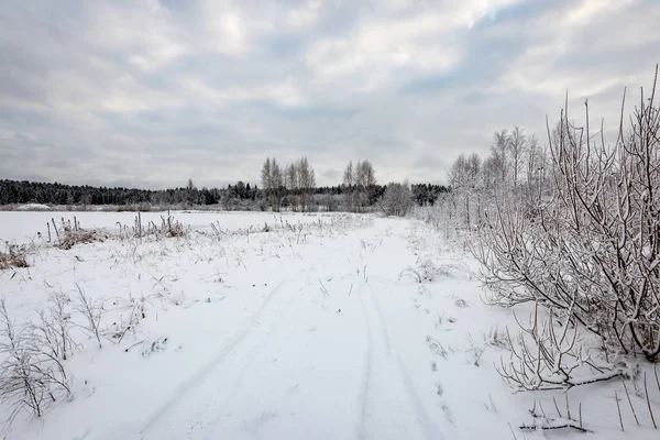 Congelado escena del campo en invierno — Foto de Stock