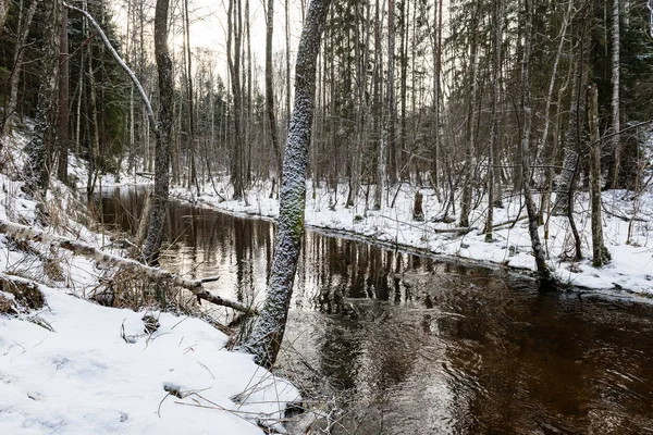 Congelado escena del campo en invierno — Foto de Stock