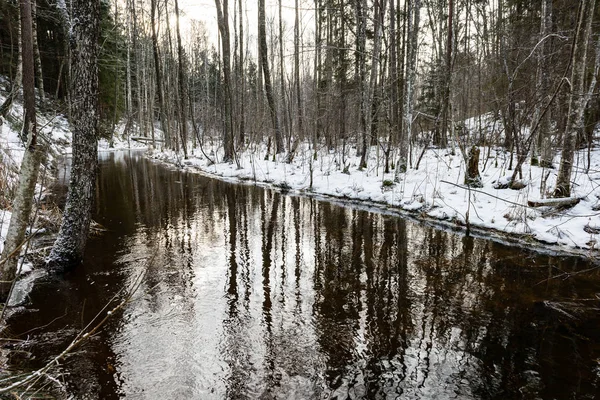 Congelado escena del campo en invierno —  Fotos de Stock