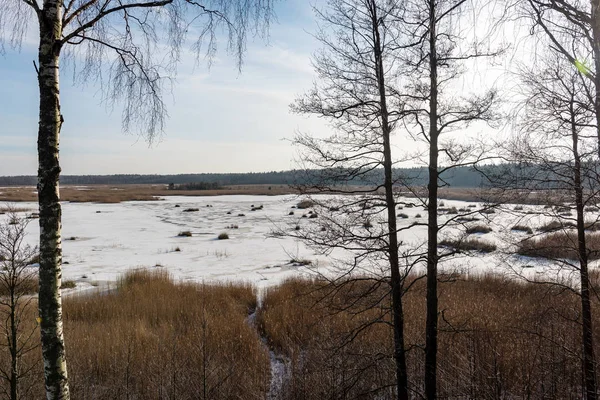 Fryst landsbygden scen i vinter — Stockfoto