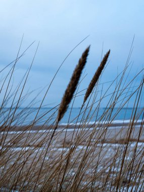 Kışın donmuş kırsal sahne