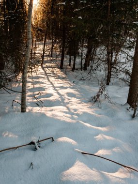 Kışın donmuş kırsal sahne
