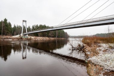 Kışın donmuş kırsal sahne