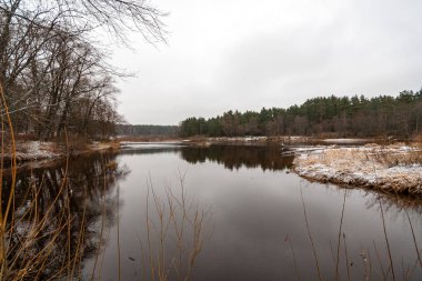 Kışın donmuş kırsal sahne