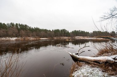 Kışın donmuş kırsal sahne