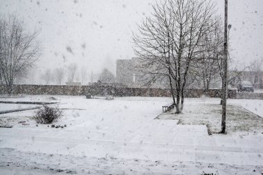 Kışın donmuş kırsal sahne