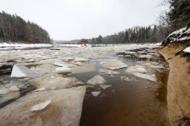 Kışın donmuş kırsal sahne