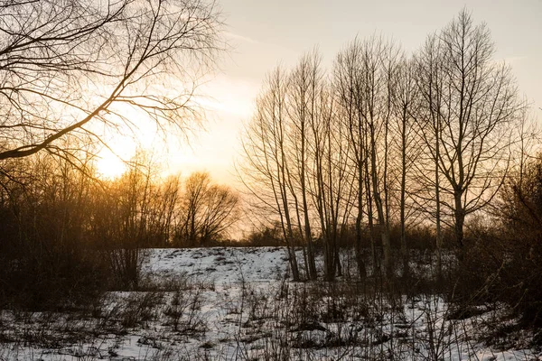 Scena di campagna congelata in inverno — Foto Stock