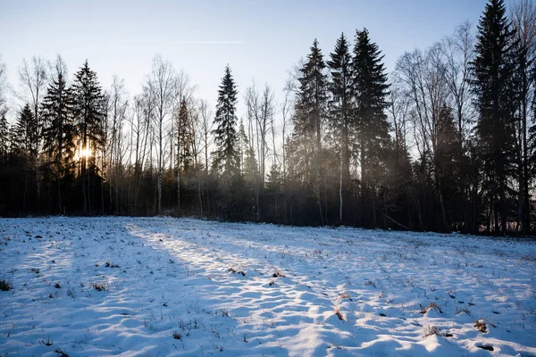 겨울에 얼어붙은 시골 현장 — 스톡 사진