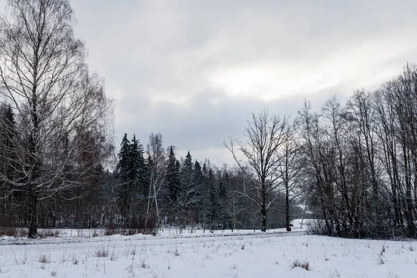 Frosset landskap om vinteren – stockfoto