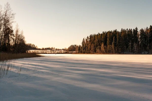 겨울에 얼어붙은 시골 현장 — 스톡 사진