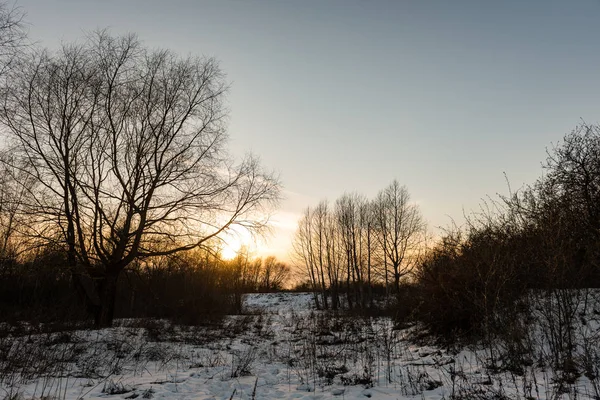 Scena di campagna congelata in inverno — Foto Stock