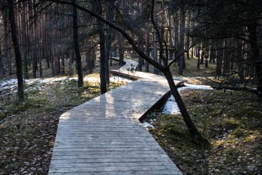 güneşli turist parça ile boardwalks