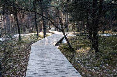 güneşli turist parça ile boardwalks