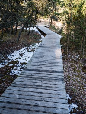 güneşli turist parça ile boardwalks