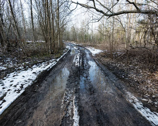 durumu kötü köy yolunda