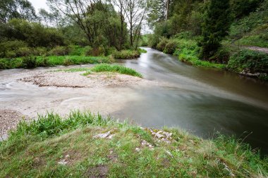dağ nehir orman tarafından çevrili yaz aylarında