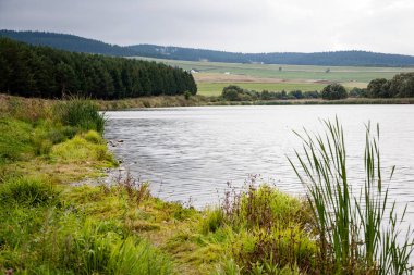 dağ nehir orman tarafından çevrili yaz aylarında