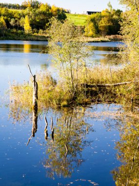 dağ nehir orman tarafından çevrili yaz aylarında
