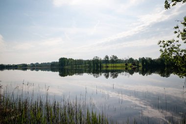 dağ nehir orman tarafından çevrili yaz aylarında