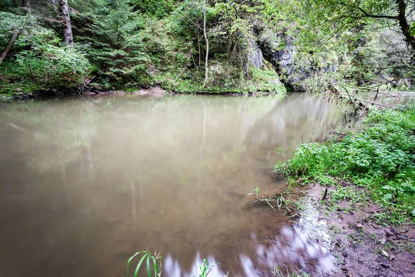 Horská řeka v létě obklopen lesem — Stock fotografie