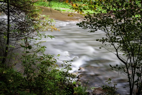 Mountain floden på sommaren omges av skog — Stockfoto