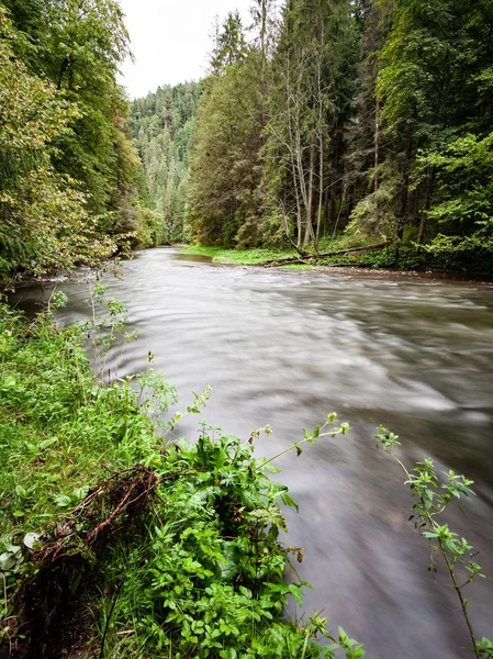 Río de montaña en verano rodeado de bosque — Foto de Stock