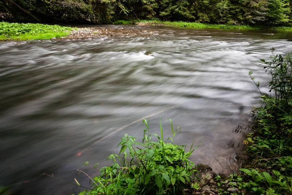 Hegyi folyó erdővel körülvett nyáron — Stock Fotó