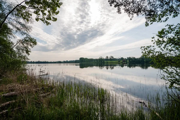 Mountain floden på sommaren omges av skog — Stockfoto