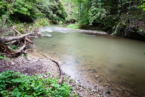 Gebirgsfluss im Sommer umgeben von Wald — Stockfoto