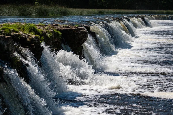 Rivière de montagne en été entourée par la forêt — Photo